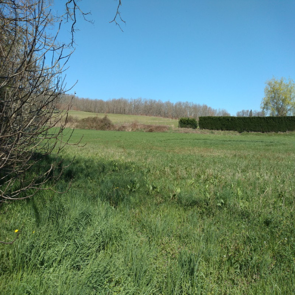 Offres de vente Terrain Lafrançaise 82130